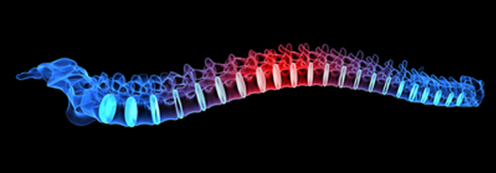 Chiropractic-Jacksonville-FL-Chiropractic-Techniques.jpg low back pain relief with chiropractic care